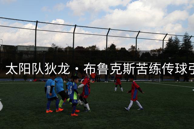 太阳队狄龙·布鲁克斯苦练传球引热议 球迷评价两极分化